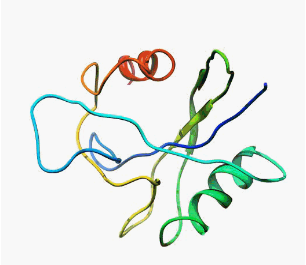 MutT enzyme protein cartoon generated by Chimera