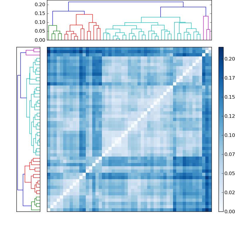 Distances graph