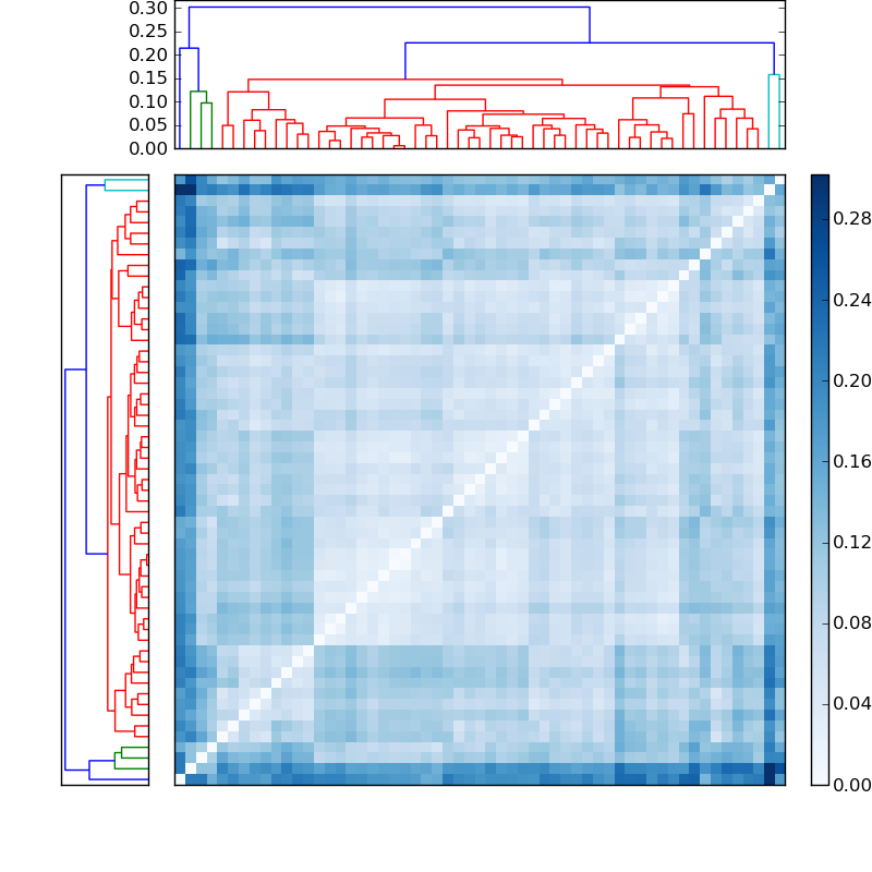Distances graph