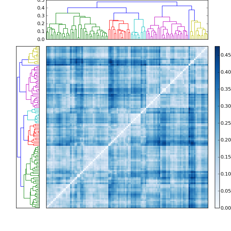 Distances graph