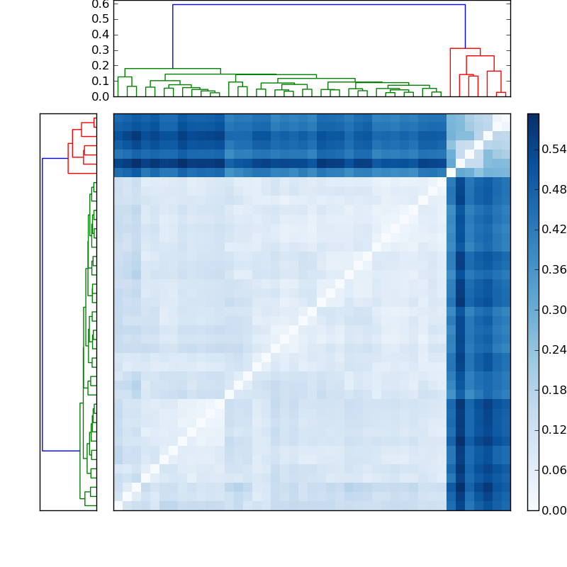 Distances graph