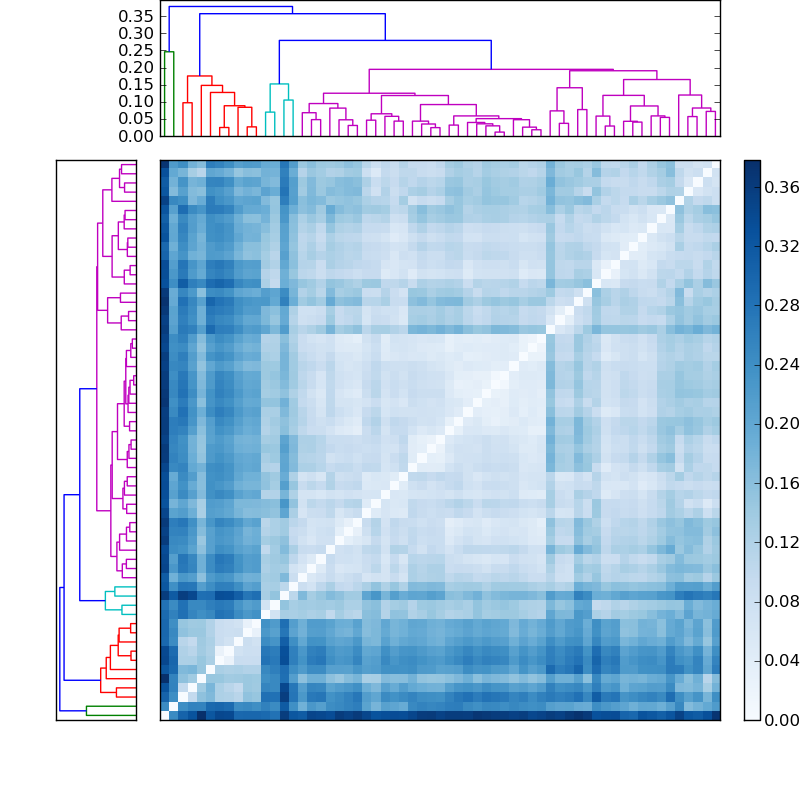 Distances graph