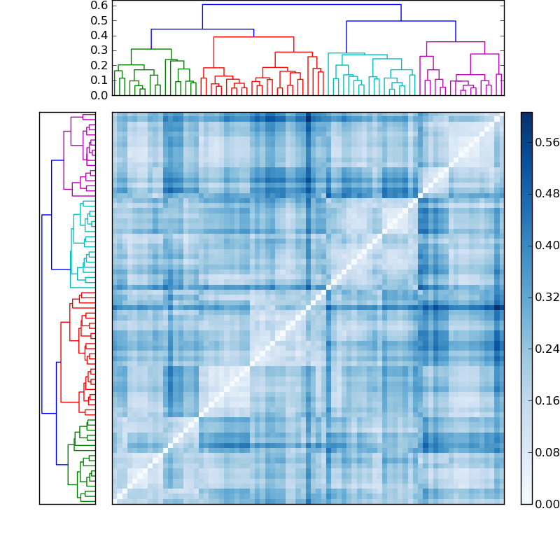 Distances graph