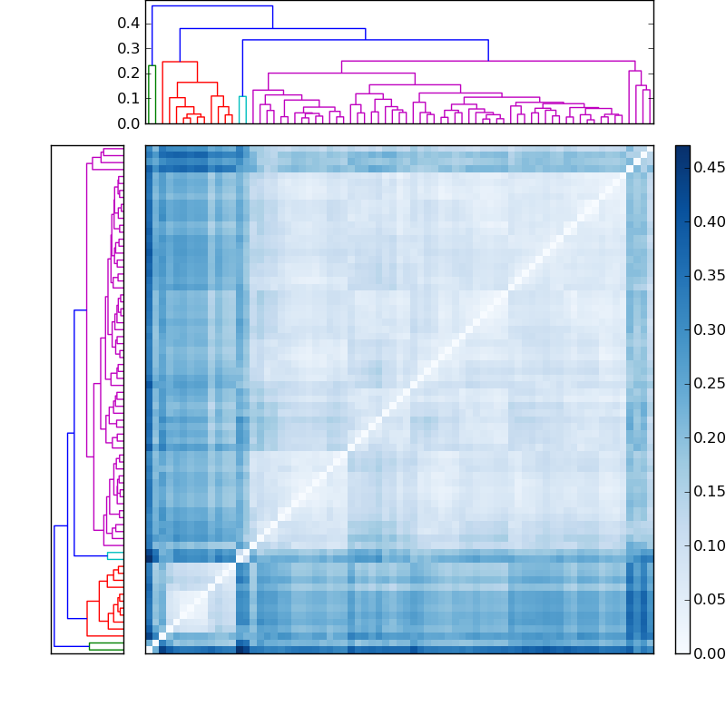 Distances graph