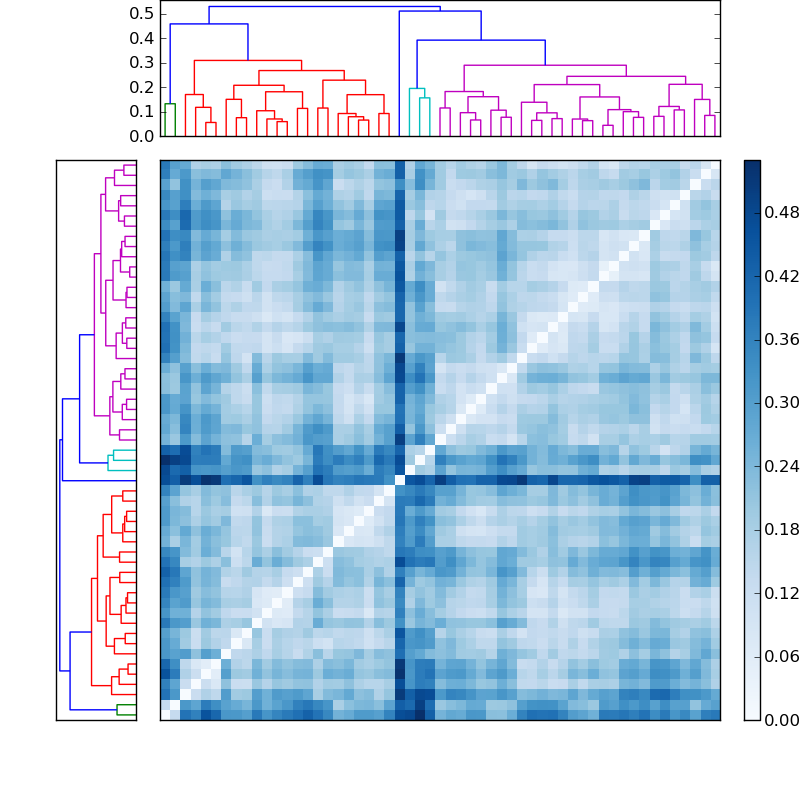 Distances graph