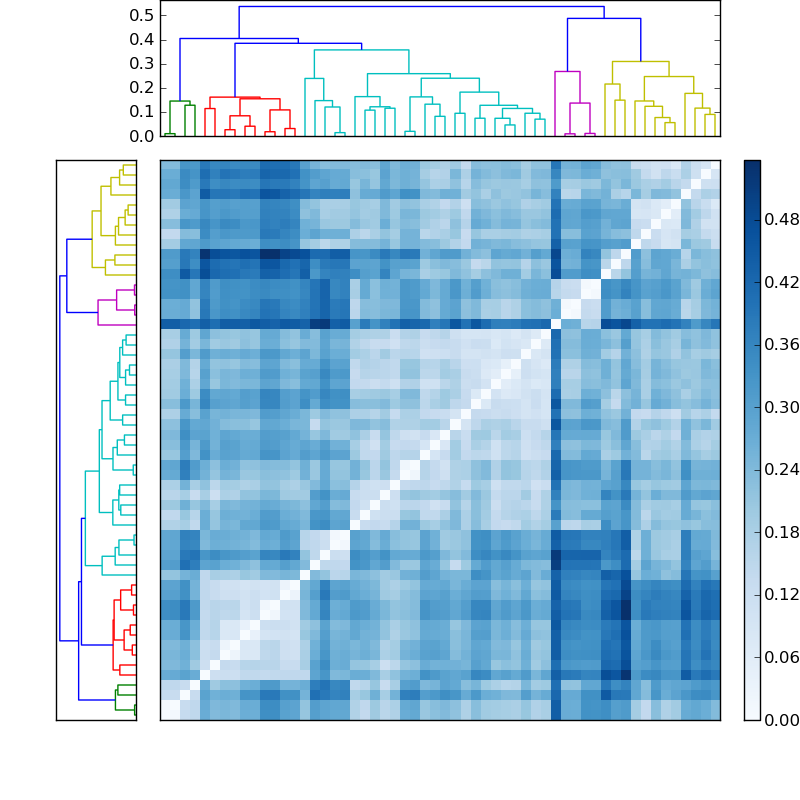 Distances graph