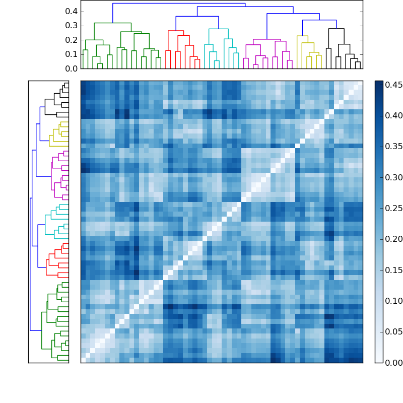 Distances graph