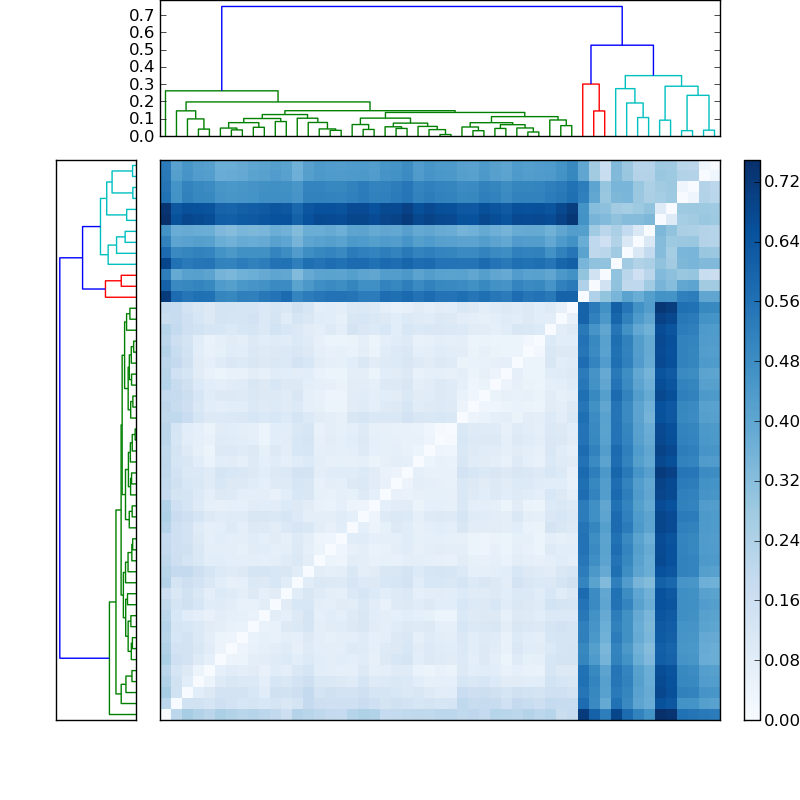 Distances graph