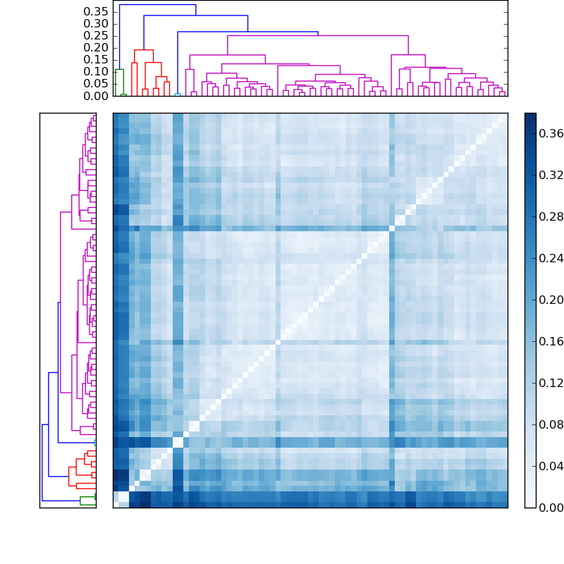 Distances graph