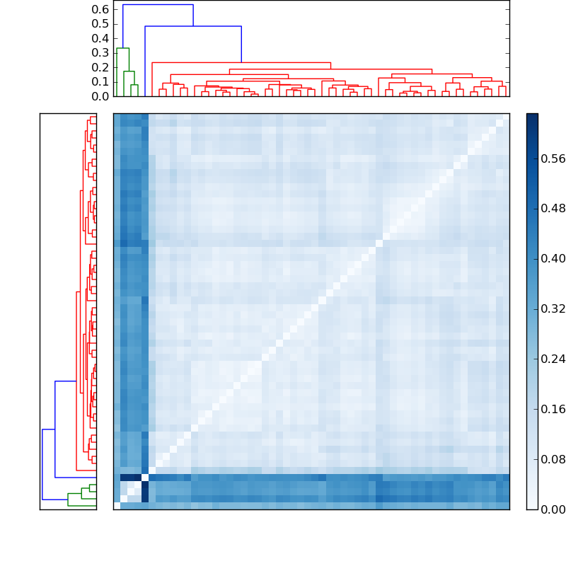 Distances graph