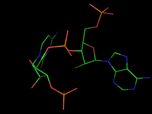 PyMOL image