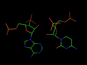 PyMOL image