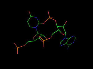 PyMOL image