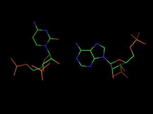 PyMOL image
