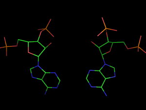 PyMOL image