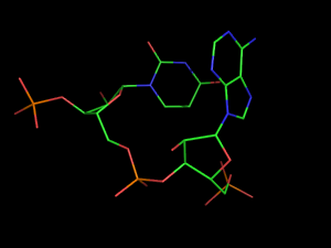 PyMOL image