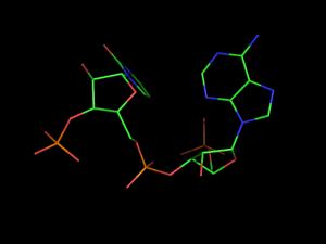 PyMOL image