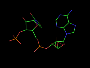 PyMOL image