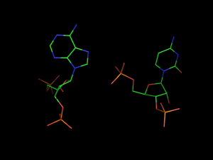 PyMOL image