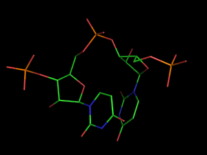 PyMOL image
