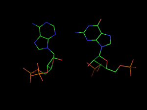 PyMOL image