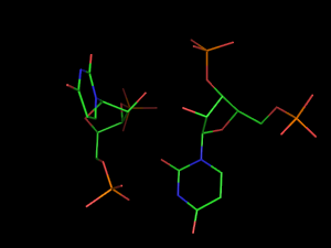 PyMOL image