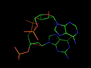 PyMOL image