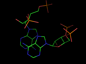 PyMOL image