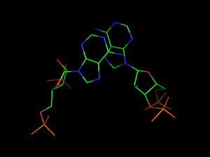 PyMOL image