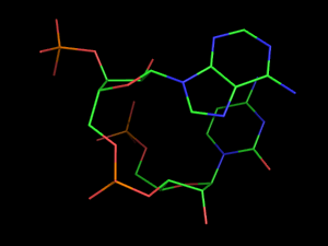 PyMOL image