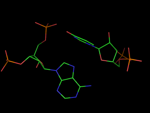 PyMOL image