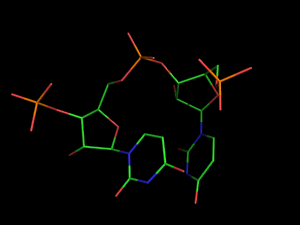 PyMOL image