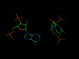 PyMOL image