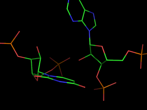 PyMOL image