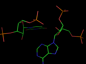 PyMOL image