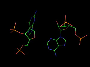 PyMOL image
