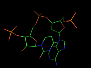 PyMOL image