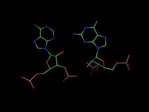 PyMOL image