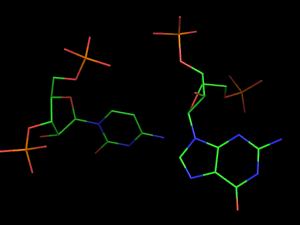 PyMOL image