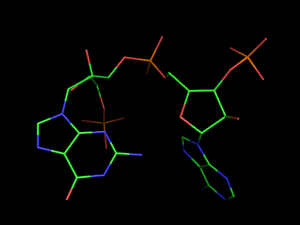 PyMOL image