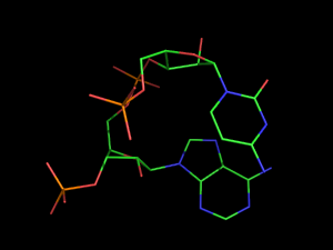 PyMOL image