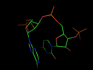 PyMOL image