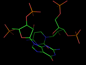 PyMOL image