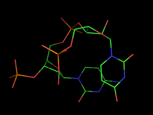 PyMOL image