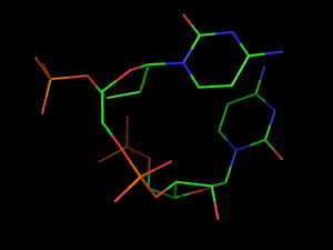 PyMOL image