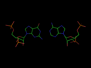 PyMOL image
