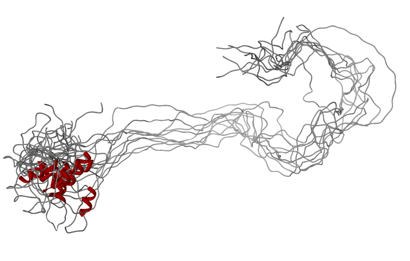 amelogenin IUP protein DISPROT