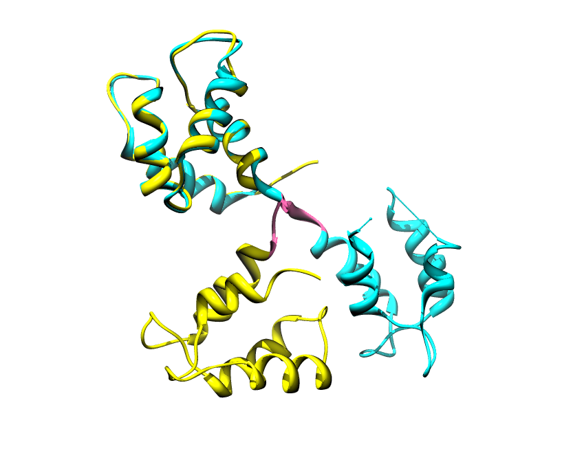 calmodulin protein disorder linker DISPROT
