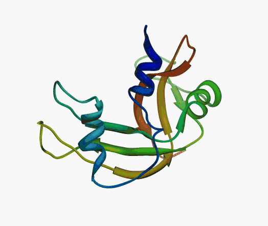 example order/disorder protein
